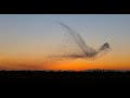 Laurie Anderson - ¨ The Beginning of Memory ¨ Lyrics English Subtitles Subtitulada Español HD bbbb