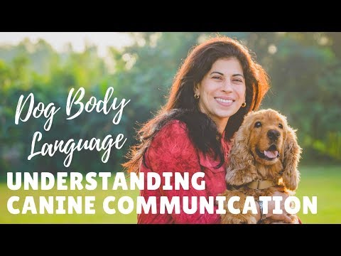 DOG Body Language - Understanding CANINE Communication
