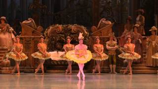 Sleeping beauty fairy variation - Charline Giezendanner
