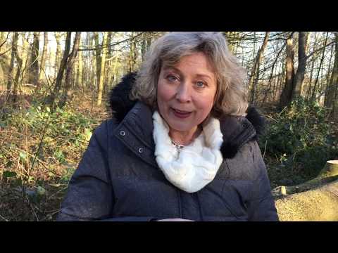 Das Kätzchen und die Stricknadeln