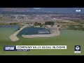 Utah-Based Water Treatment Company Kills Toxic Algal Bloom In Utah Lake