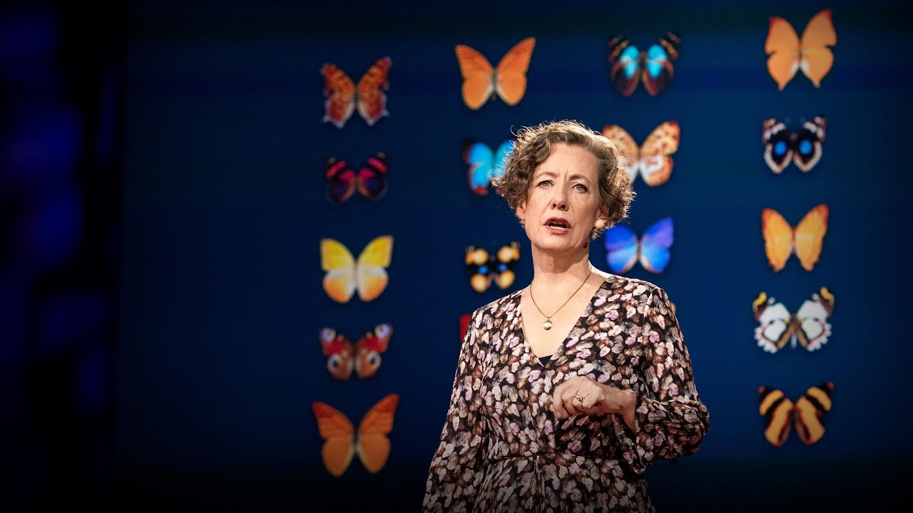 How you can help save the monarch butterfly -- and the planet | Mary Ellen Hannibal