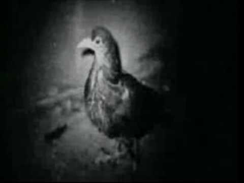 Mike Kukin - Kill my mind