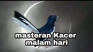 Download lagu TERAPI MASTERAN AMPUH KACER MALAM HARI mp3