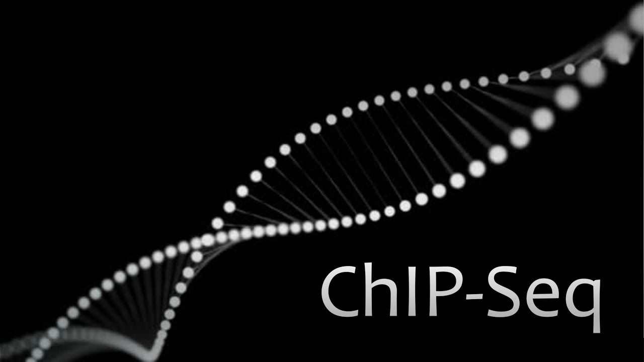 Introduction to ChIP-Seq