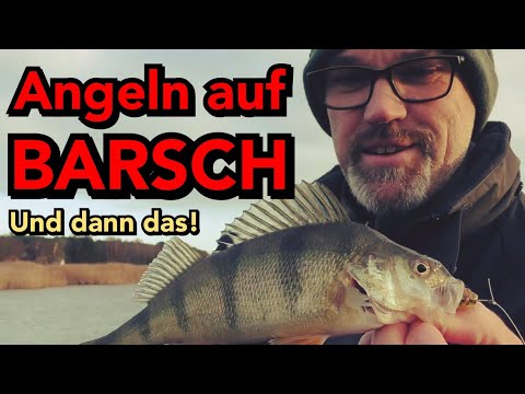 Angeln auf Barsch 🎣 aber was ist das? - ANGLERSCHWATZ - KANALBESCHREIBUNG LESEN 🙏