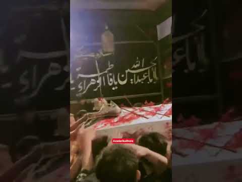 Azadari kaithora and 3 more