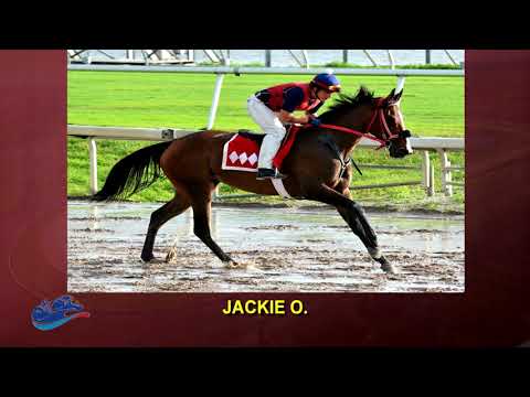 Recta Final a la Serie Hípica del Caribe 2017 - Copa Dama del Caribe