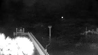 Florida · Gulf Breeze · Osprey live stream