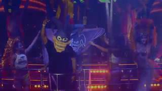 The Bongo Tour Los Cabos