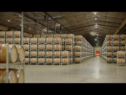 Handpicked Part 1: Treasury Wine Estates