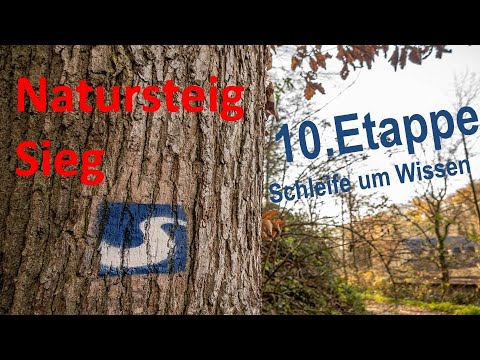 Natursteig Sieg - 10. Etappe - Schleife um Wissen wandern.