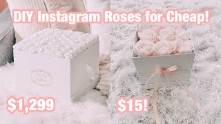 DIY Instagram Rose Box for CHEAP!! (Valentines day gift ideas)