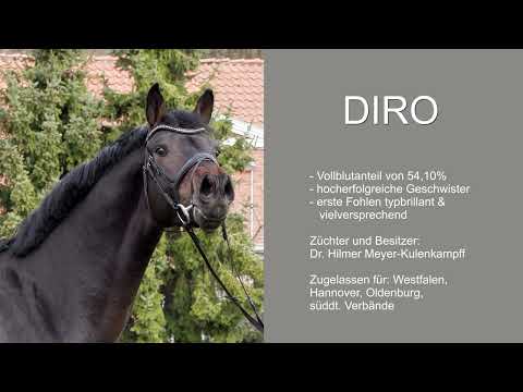 Diro 2022