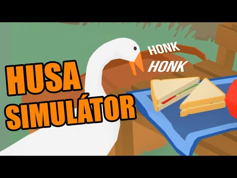 Husa OTRAVUJÍCÍ lidi