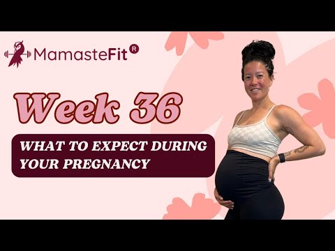 Week 36: What to Expect During Your Pregnancy + Gina's Pregnancy Journey!