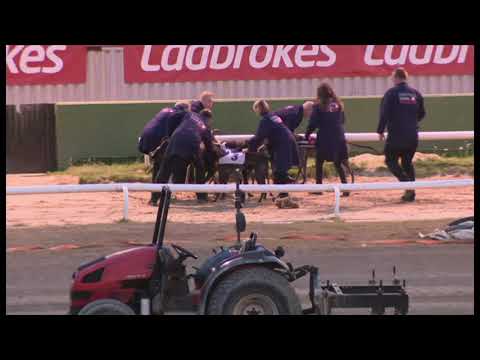 King Lennon - Ladbrokes Kent Derby (Heat 2)