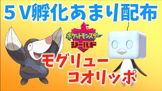 【孵化あまり５V配布】レイド・交換自由！ポケモンソード、シールド