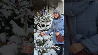 Do people buy Christmas trees in Switzerland?