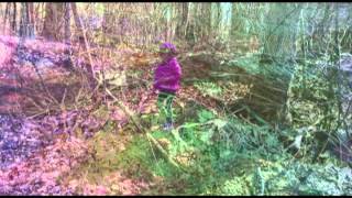 Peter Nolan - Sound of Bees