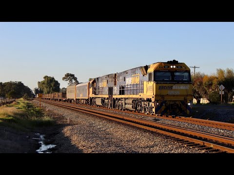 NR95 & NR65 lead 5MP2 steel through Herne Hill 23/7/2023