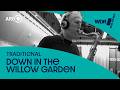 Down In The Willow Garden | Darol Anger | Mike Marshall | Bob Mintzer | WDR Big Band