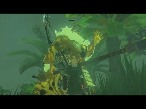 Twilight Princess Link Fights a Gold Lynel - Zelda Breath of the Wild