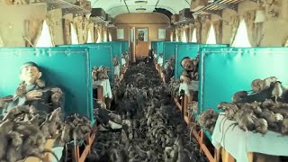 Download lagu 【FULL】老鼠变成丧尸?鼠群攻击列车,山匪舍身炸鼠!【狂鼠列車 Rat Disaster】|科幻 災難 |【電影派對】 mp3 Download lagu 【FULL】老鼠变成丧尸?鼠群攻击列车,山匪舍身炸鼠!【狂鼠列車 Rat Disaster】|科幻 災難 |【電影派對】 mp3