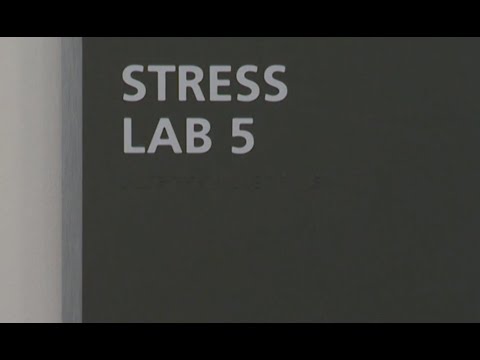 How a stress test works