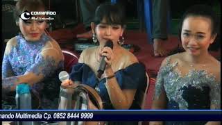 Download lagu LANGGAMAN BERSAMA MADU TIGA PACITAN LIVE JERUK BANDAR mp3 Download lagu LANGGAMAN BERSAMA MADU TIGA PACITAN LIVE JERUK BANDAR mp3