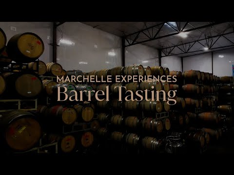 Barrel-to-Bottle Tasting with Marchelle Wines 🍷
