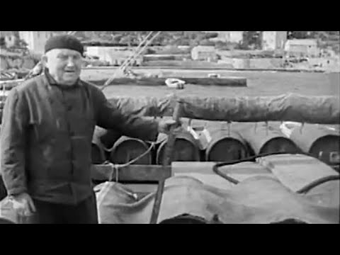 Sušna zikva na škoju - Klapa Ošjak, Vela Luka