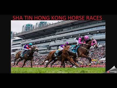 5 ARALIK 2021 SHA TIN HONG KONG ALTILI GANYAN TAHMINLERI-TJK YABANCI AT YARIŞLARI (PAZAR)