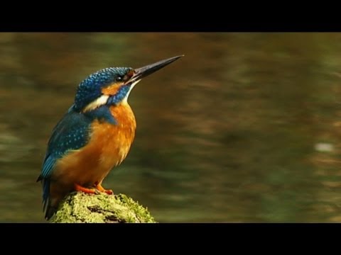 BuitenGewoon 24-04-2013 Achterhoek Oost