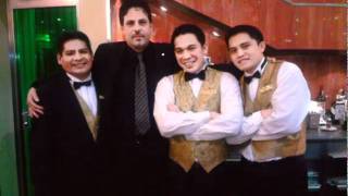 Chris  Rea- Josephine