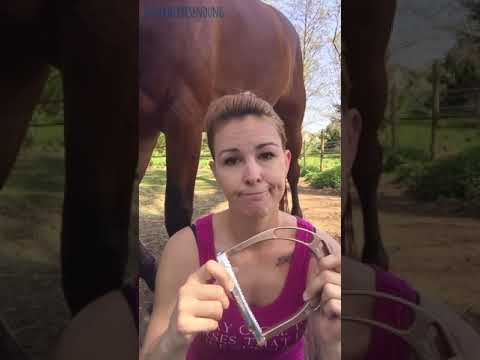 Testimonial JS Steigbügel - Daniela & Sheldon berichten