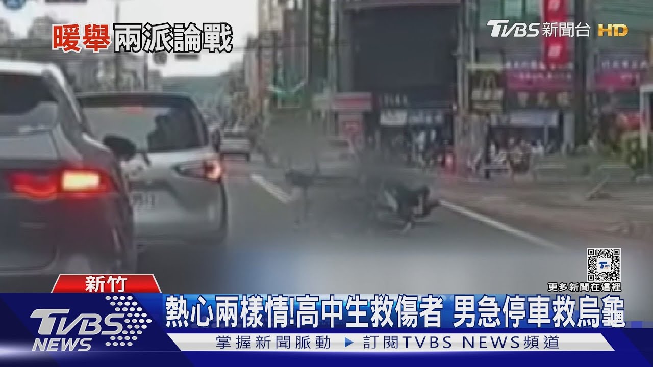 熱心兩樣情!高中生救傷者 男急停車救烏龜
