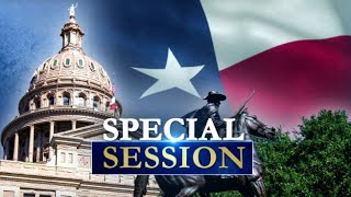 Texas Senate passes immigration bills