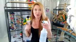🐦Cage Cleaning at Parrot Playhouse❤️