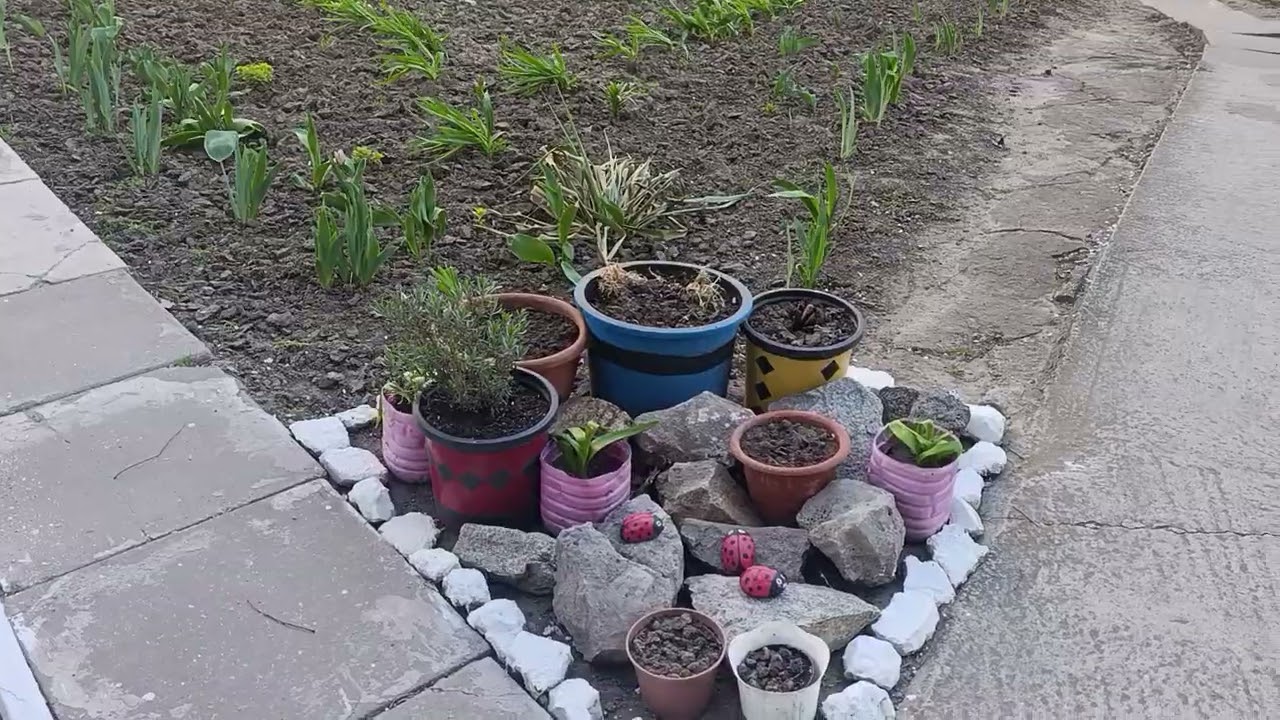 НАКОНЕЦ-ТО Я СЕБЕ КУПИЛА НАРЦИССЫ 💐 ДВОРИКИ И БАЛКА ВОЗНЕСЕНСКИЙ РАЙОН 06.04.20