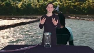 Catching Fire Review