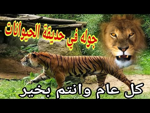 #-جولة-في-ألمانيا| 😮 و تعالو شوف شو شفتا حديقة الحيونات