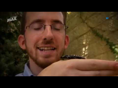 LAS BESTIAS DE LA BIBLIA GRAN DOCUMENTAL 2019