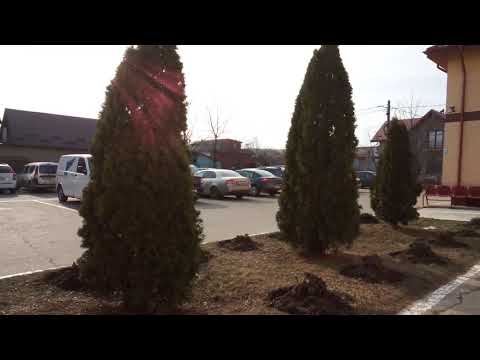 VASLUI- D.G.A.S.P.C- Direcția Generală de Asistență Socială și Protecția  Copilului-19februarie 2019