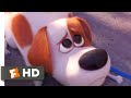 The Secret Life Of Pets 2 Max Goes To The Vet Fandango Family