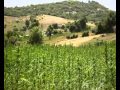 Ketama Moroccan hashish production HOUSE 1KM ...