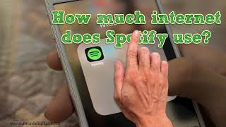 How much data does spotify use?