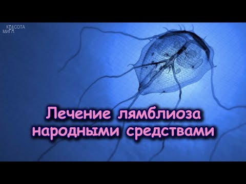 Il trikhotsefalez causa helminth Protozoa lyambliya intestinale