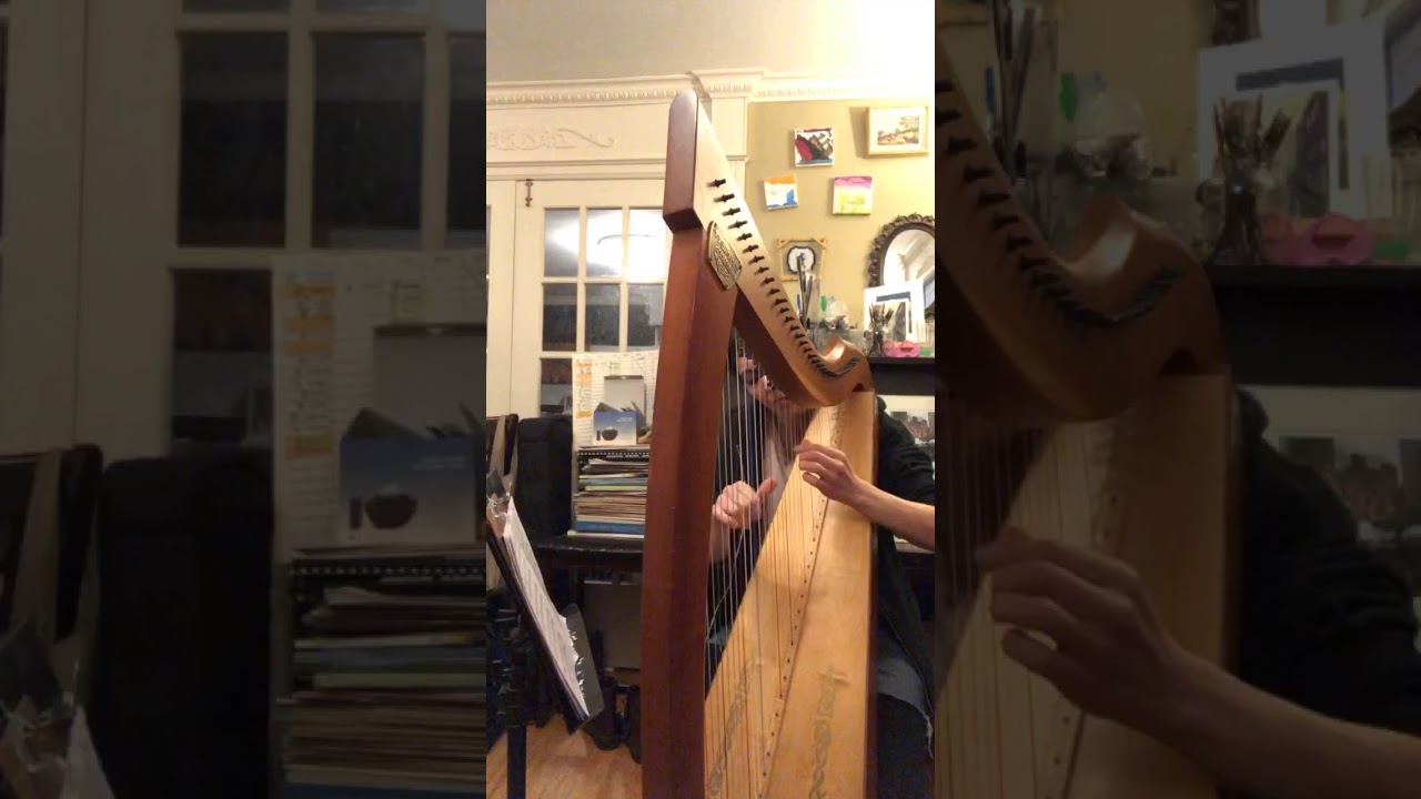 Promotional video thumbnail 4 for Morningside Music, Harpist Sohayla Smith