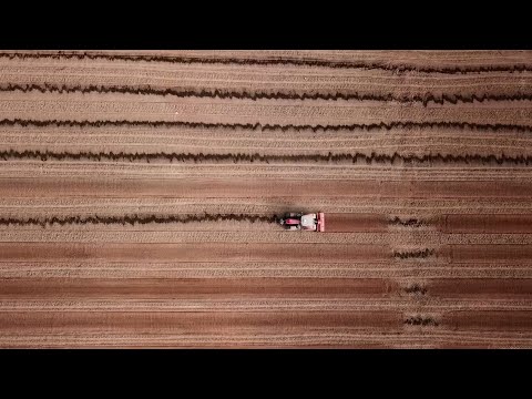 Artistes amb tractor